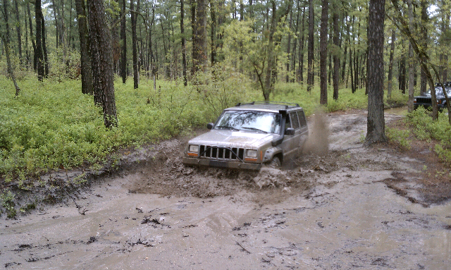 Wharton state forest jeep #2
