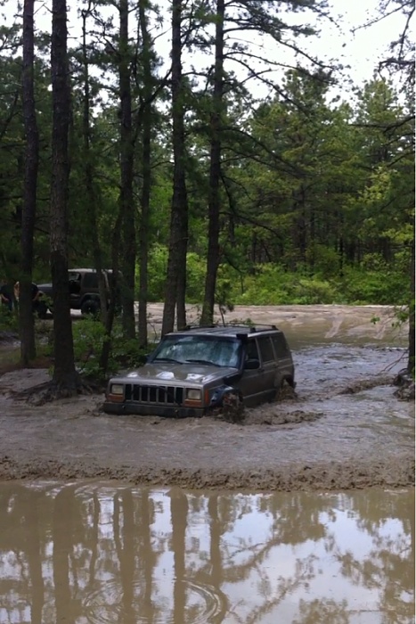 Wharton state forest jeep #3