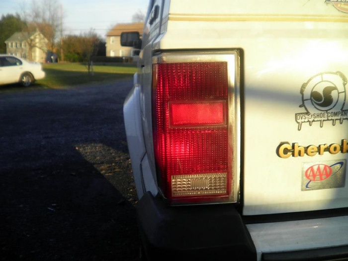 Waggy tail lights install-image-2898937936.jpg