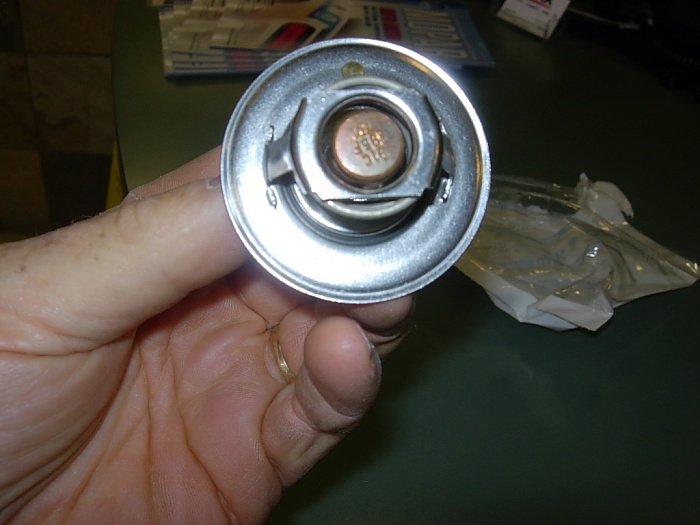 OEM thermostats are now MotoRad?-thermostats-1-.jpg