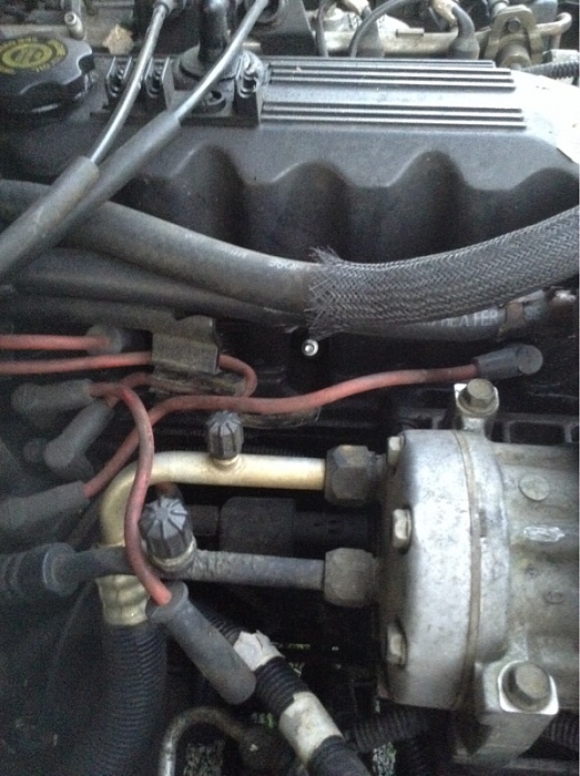 Help! I think my alternator died!!!-image-3385160014.jpg