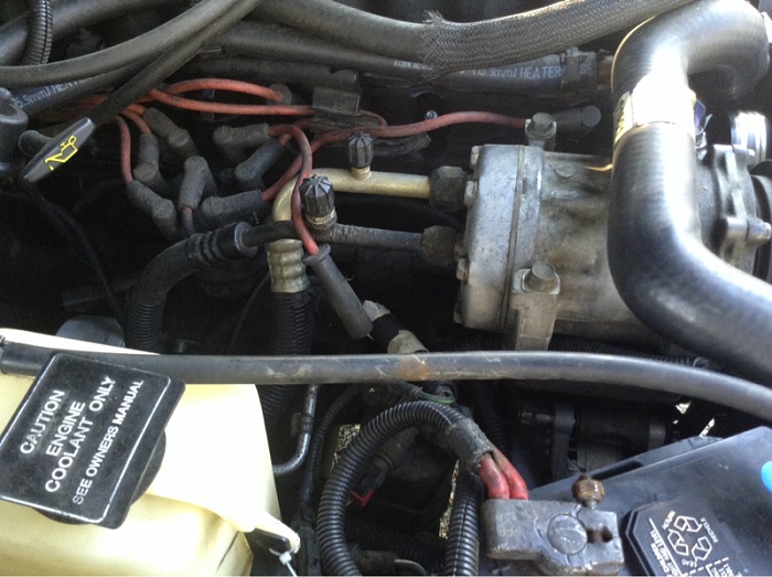 Help! I think my alternator died!!!-image-2267301806.jpg