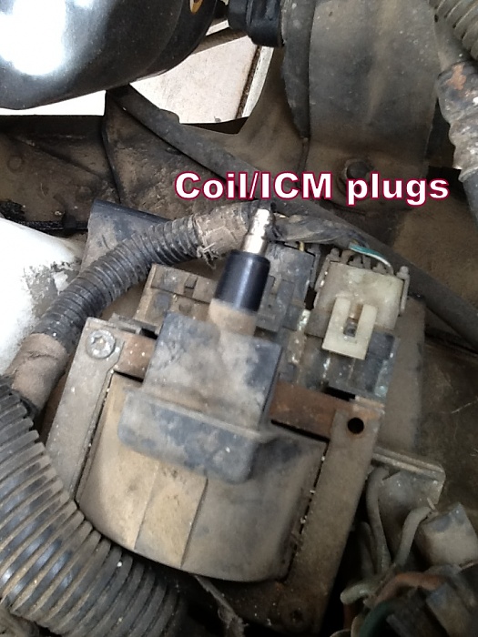 renix problems!!! new to the fourm-coil-icm-connectors.jpg