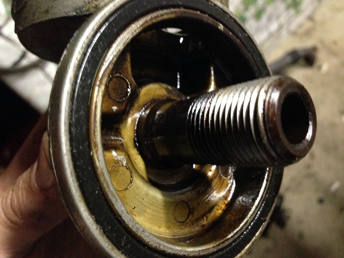 Can't find O rings in oil filter adapter-image.jpg