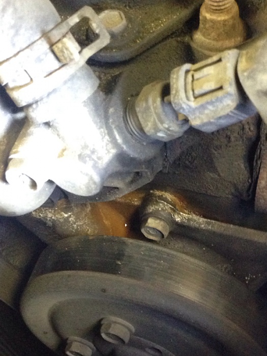 Brown coolant-image-2558591984.jpg