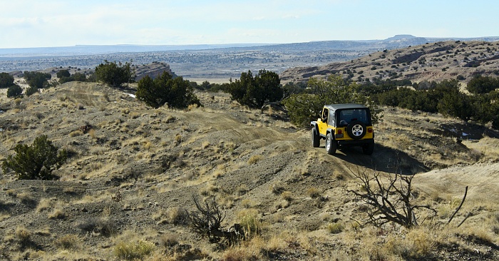 New Mexico Roll Call.-img_4514.jpg