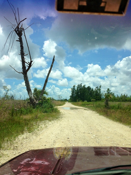 South Florida Dysfunctional 4x4's-image-1960883746.jpg