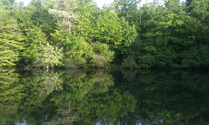 Maryland Cherokee Club-imag1116.jpg