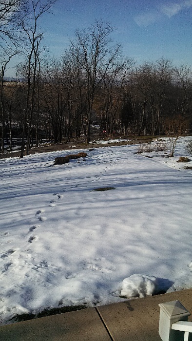 Maryland Cherokee Club-forumrunner_20130102_140129.jpg