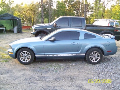 Name:  mustang side.jpg
Views: 937
Size:  99.3 KB