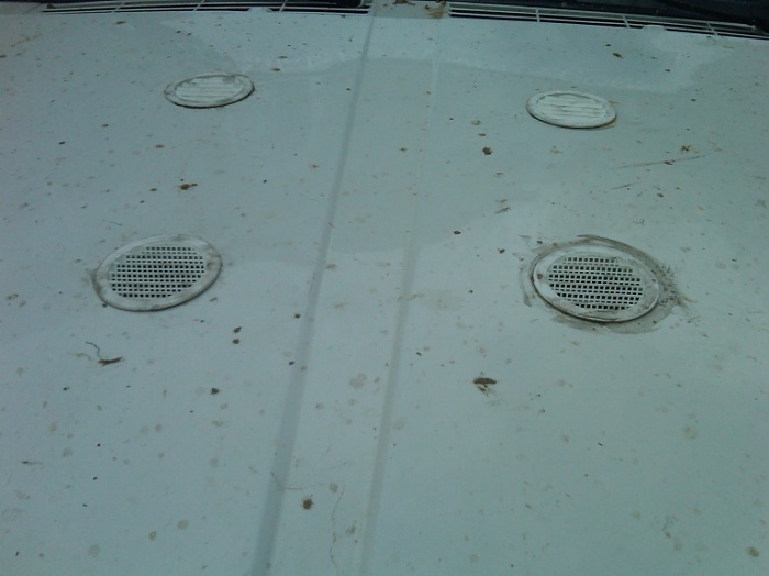 Instead of hood vents....-img00102-20100418-1409.jpg