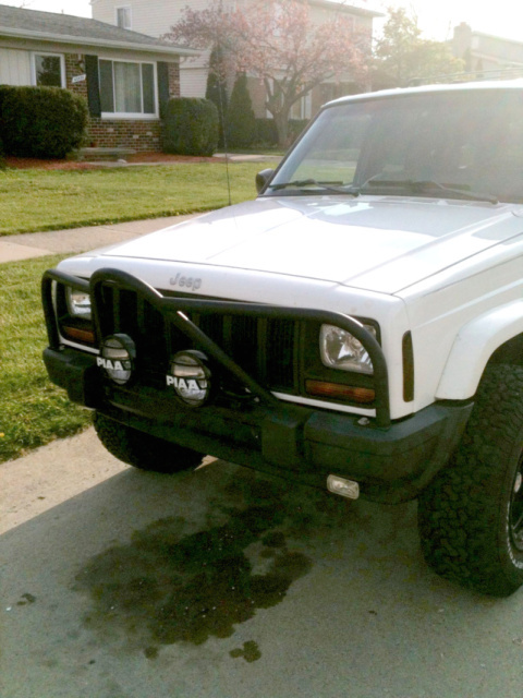 What did you do to your Cherokee today?-brushguard.jpg