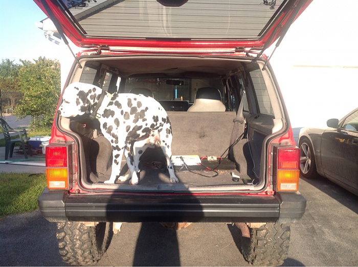 Your Dog in Your XJ-image-1305592250.jpg