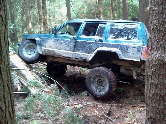 XJ Picture Game!-tree-climb.jpg