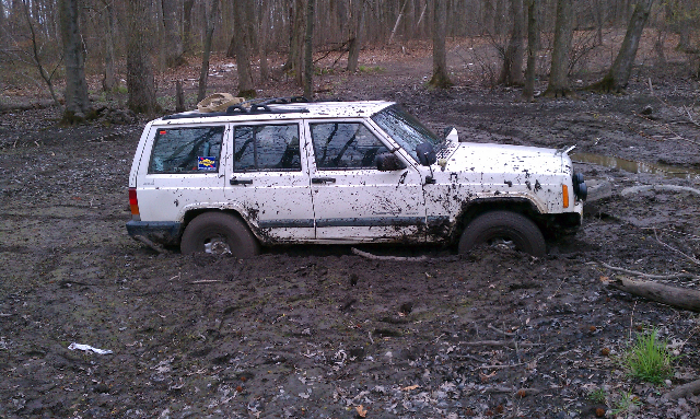 a good general all terrian tire-forumrunner_20130119_160352.jpg