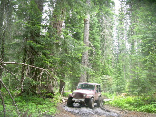 post the favorite picture of your jeep.-forumrunner_20130221_074209.jpg