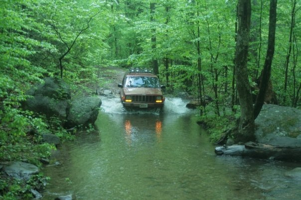 Jeeps in the Wild-image-4228208546.jpg