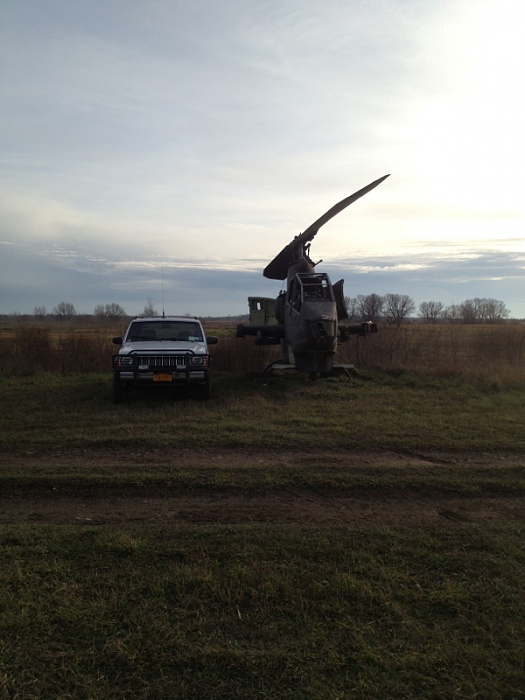 Jeeps in the Wild-image-1815850578.jpg