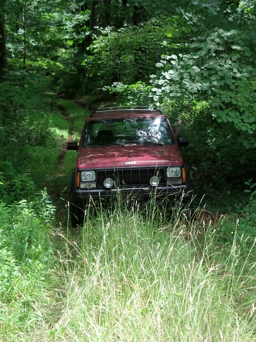 the RED xj club-image-2719877104.jpg