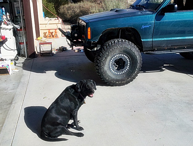 What did you do to your Cherokee today?-puppeh.jpg