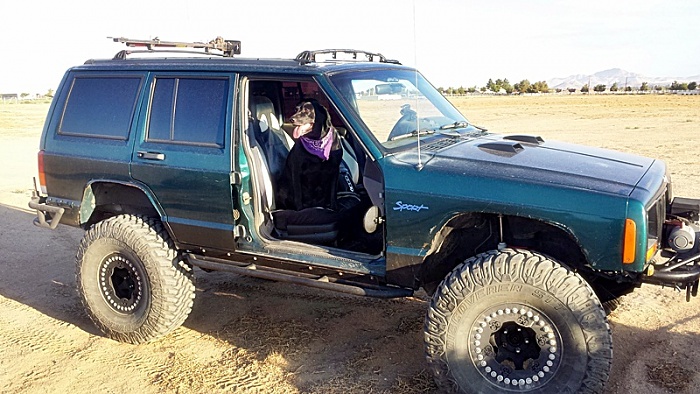 What did you do to your Cherokee today?-pooch-c-r.jpg