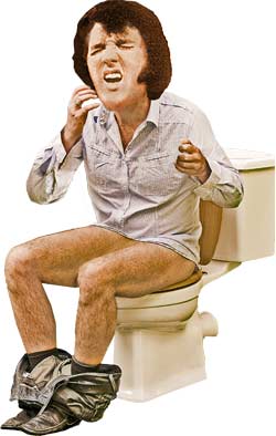 Name:  elvis-toilet.jpg
Views: 186
Size:  15.4 KB