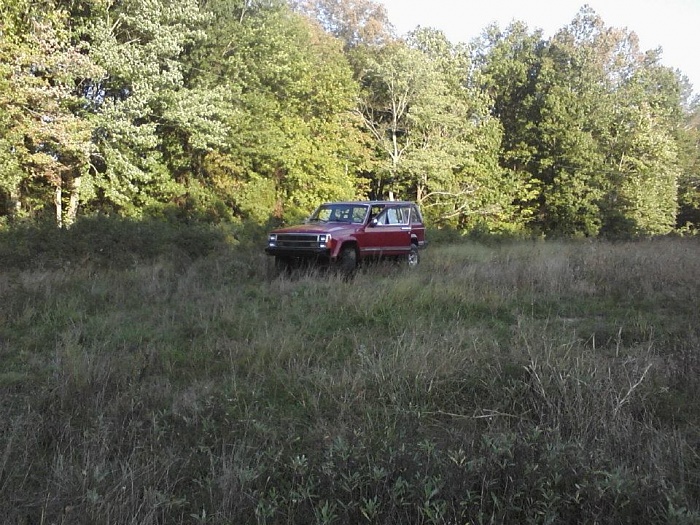 Post up Pictures of your Waggy Xjs(Wagoneer)-298710_10150348367919450_852559449_7844919_1662238292_n.jpg