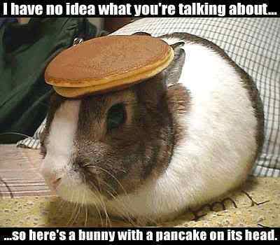 Name:  bunny-pancake.jpg
Views: 609
Size:  18.7 KB